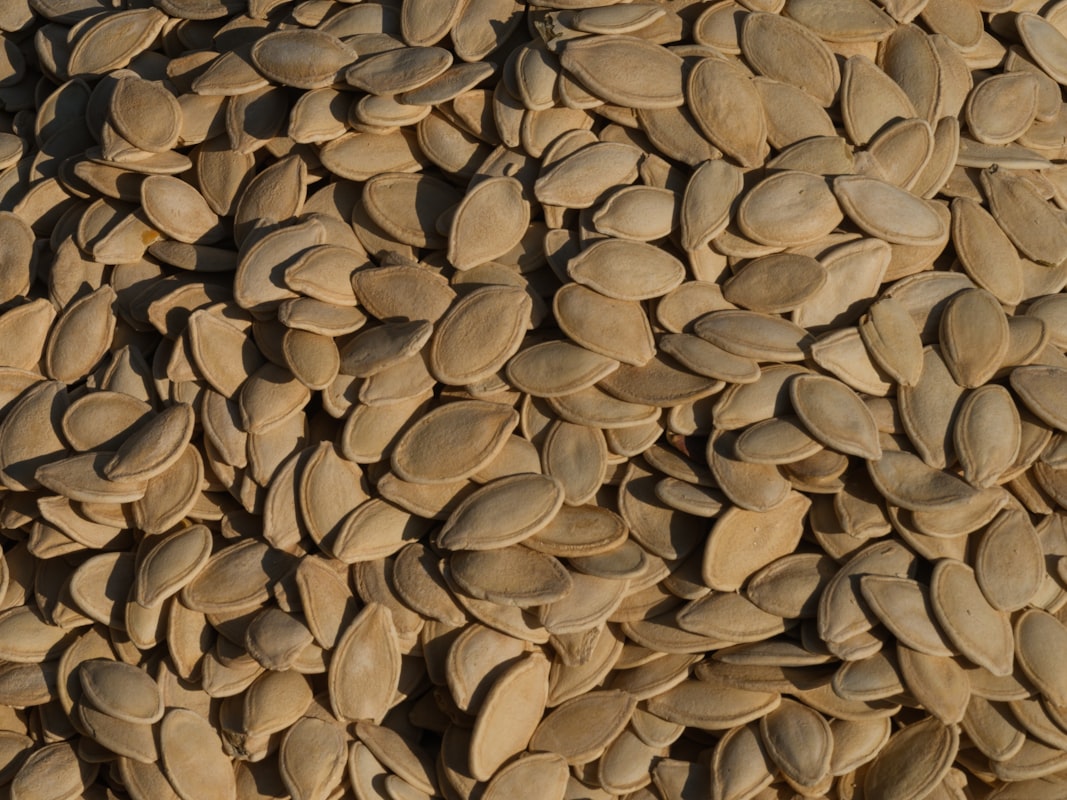 Omega fatty acids
