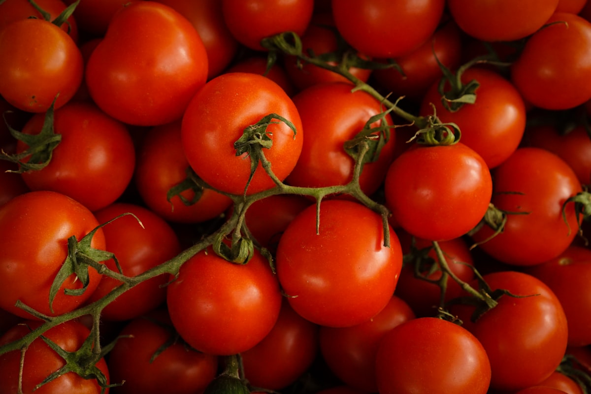 Antioxidant foods